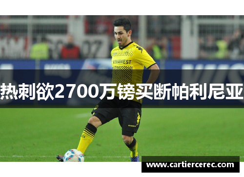 热刺欲2700万镑买断帕利尼亚